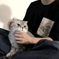 QFL头像