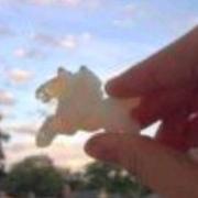 snakeyu的个人资料头像