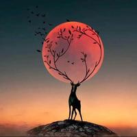 飞鸟和蝉long头像