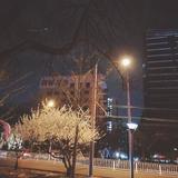 首望416头像
