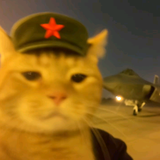 深情的KING头像