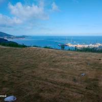 可靠梦想sik头像