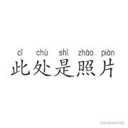 小菜鸡的程序员的个人资料头像