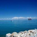 飞爱学习71842的个人资料头像