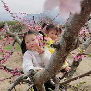 魏寨小研手工麻辣条头像