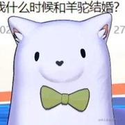 我想要阿草手托拜托了的个人资料头像