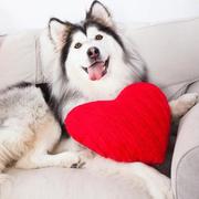 AndreliaJUN的个人资料头像