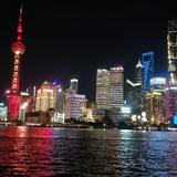 深圳小青蛙头像