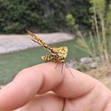 活着头像