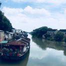 半岛流年的个人资料头像