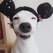 abc3971139的个人资料头像