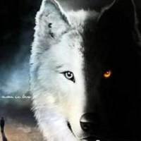 用户153320171536头像