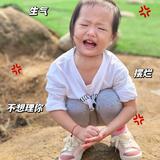 风趣的不动如山头像