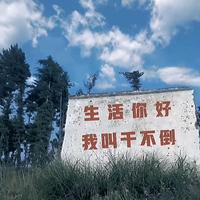 低头吻你头像