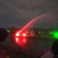 优美鲸鱼qy1头像