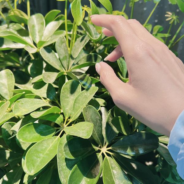 车评驿站圈头像