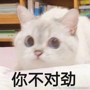 wuxianda88的个人资料头像