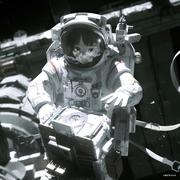 losedeer44948的个人资料头像