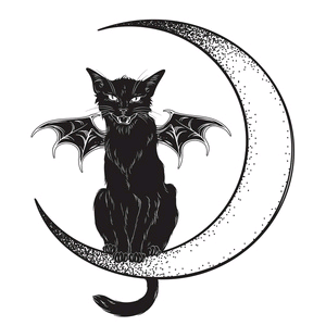 女巫的黑猫123头像