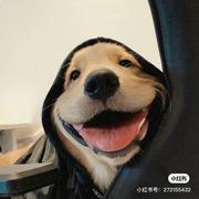 无霸哥35的个人资料头像