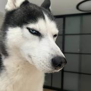 May295的个人资料头像