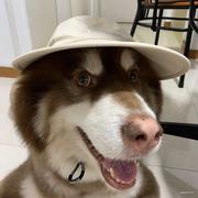 乔伊_的个人资料头像