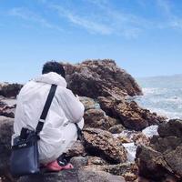 猪乸揦上树头像