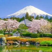 王先森Wyp1995头像