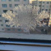 吕吕修修的个人资料头像