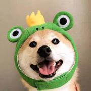 你个叛徒的个人资料头像