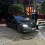 舞动科里1C头像