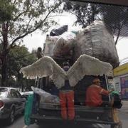 举止优雅的猪的个人资料头像