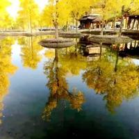 回忆那一天过去头像