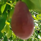 龙行天下96143头像
