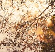 Minho的个人资料头像