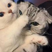 好多年呢的个人资料头像