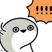 wxl551的个人资料头像