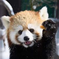 用户6723481665545头像