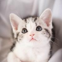 用户8372407671888头像