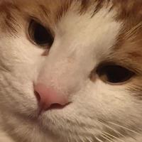 我是你的累赘2头像