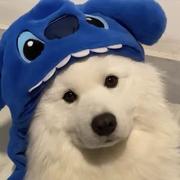 Slice_cy的个人资料头像