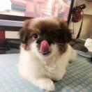 冷眼头像