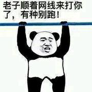 增量编译的个人资料头像