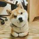 明辰的个人资料头像