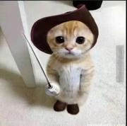 期待下一次相遇的个人资料头像