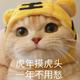 德德德成 · 影豹车主·车龄3年头像