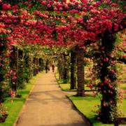 firstliu的个人资料头像