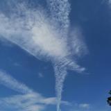 拿火把烤太阳190头像