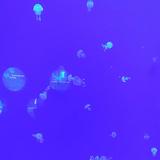 甲天下928头像