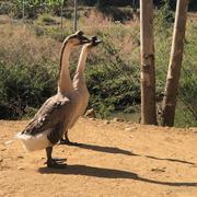 论菜鸡的自我成长的个人资料头像